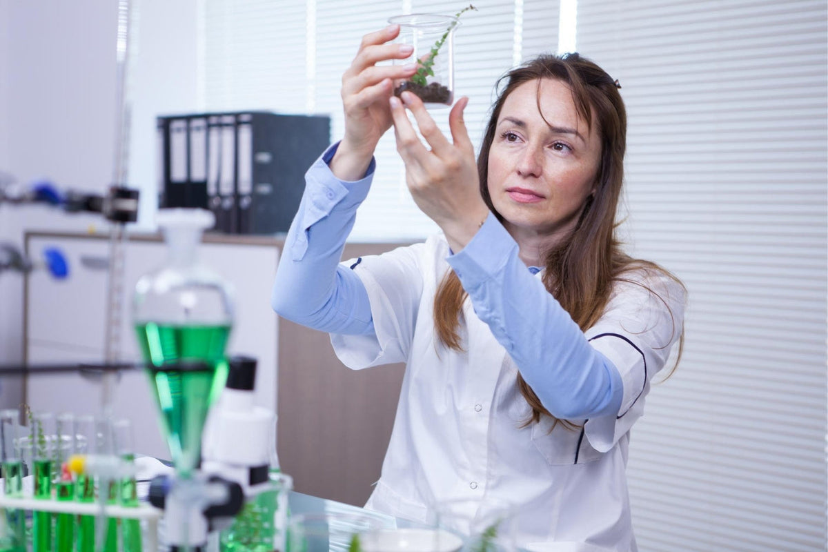 Medical Grade Hemp Extracts vs. Standard CBD Products: What’s the Real Difference?