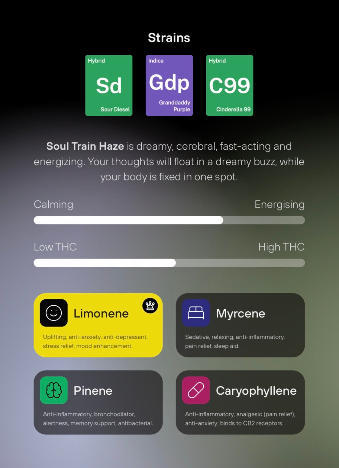 Soul Train Haze: THC-A Extract