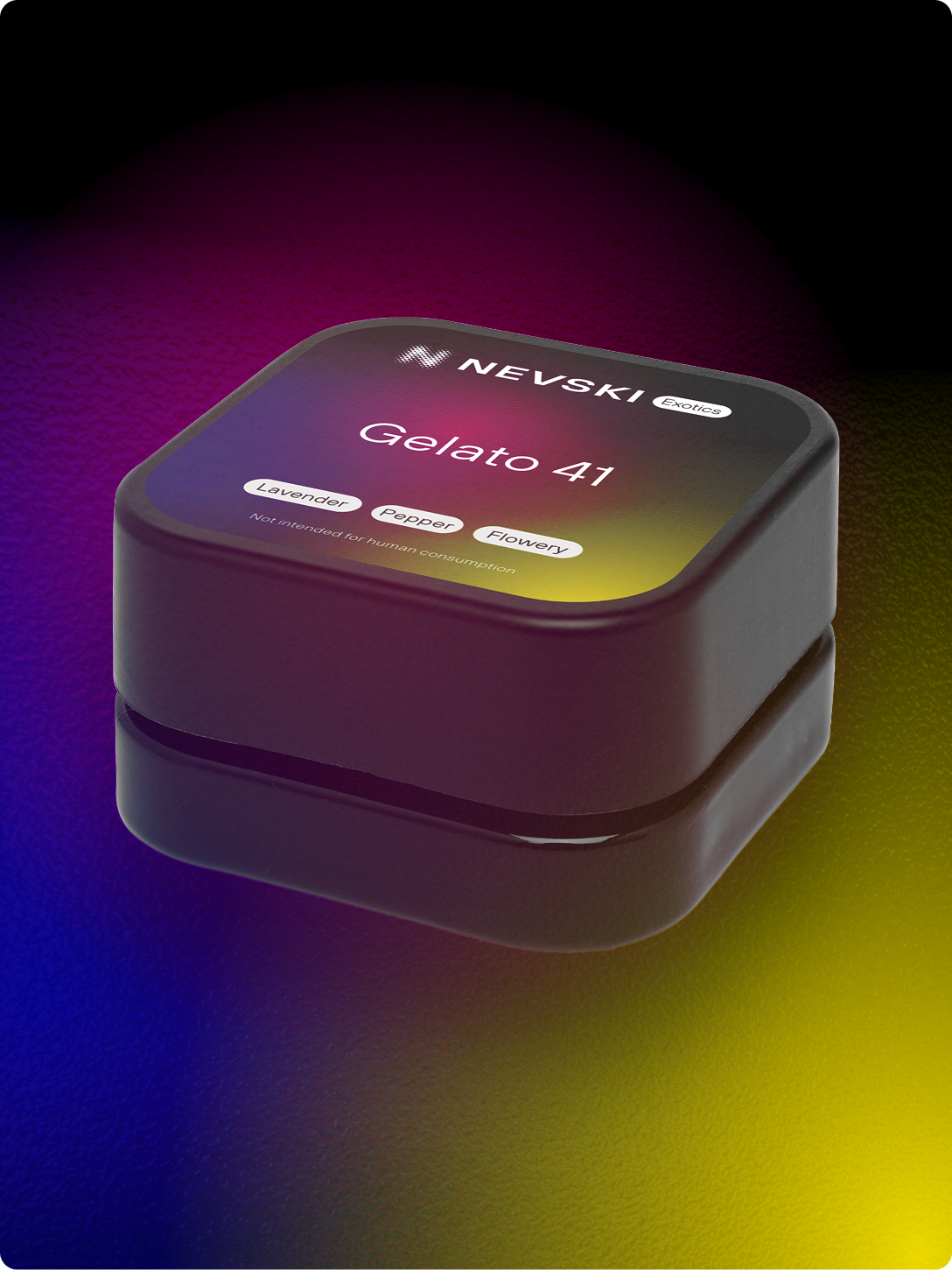 Gelato 41: THC-A Nevstract