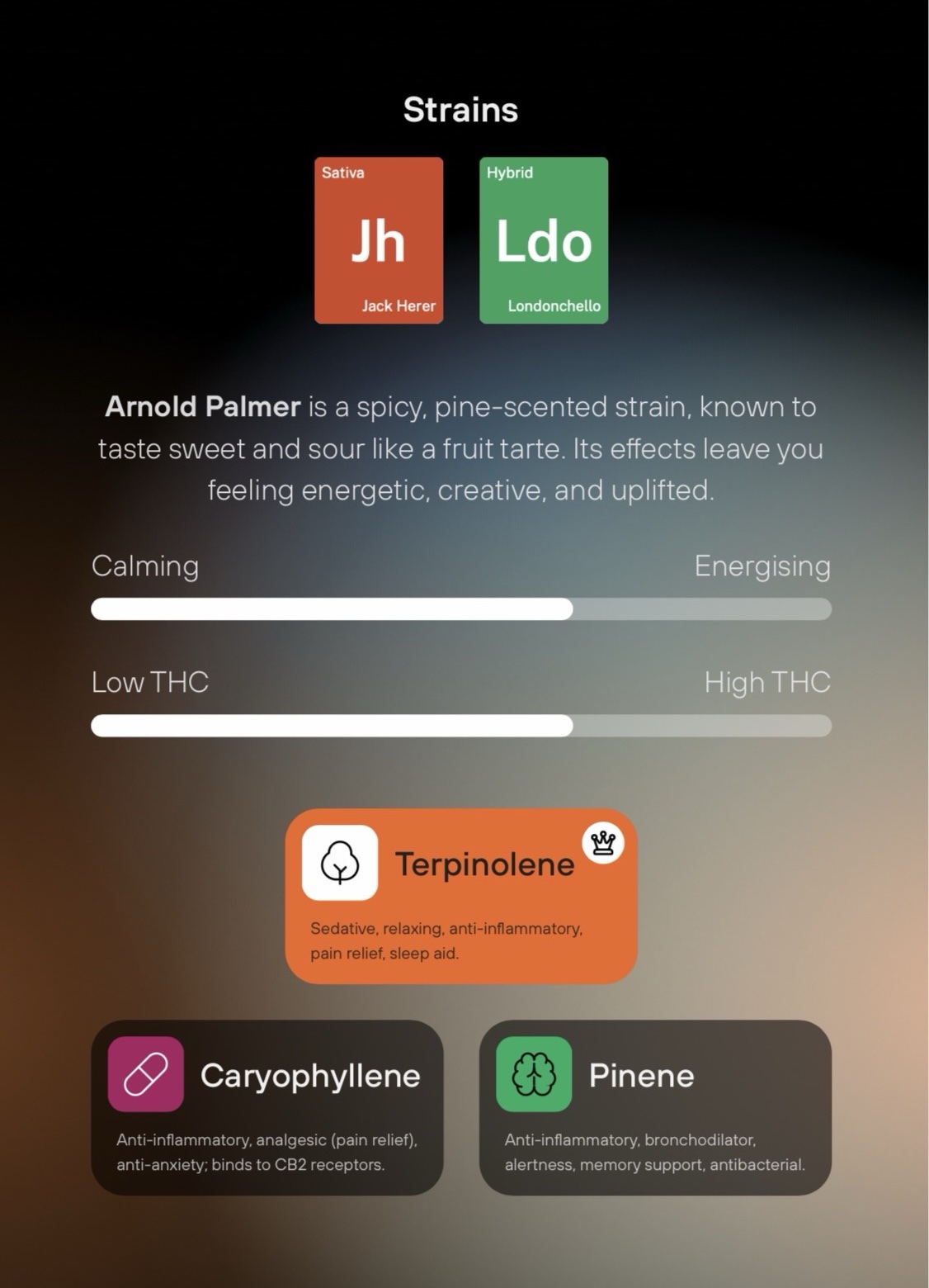 (LIMITED EDITION) Arnold Palmer: THC-A Extract - Image 3