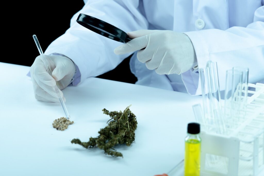 THC-A vs THC Legal UK