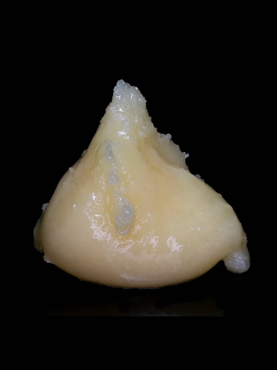 Cheese: Premium, C02, THC-A Extract - Image 2