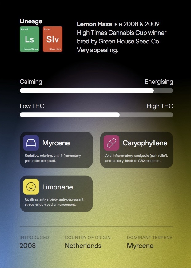 Lemon Haze: Premium, C02, THC-A Extract - Image 3